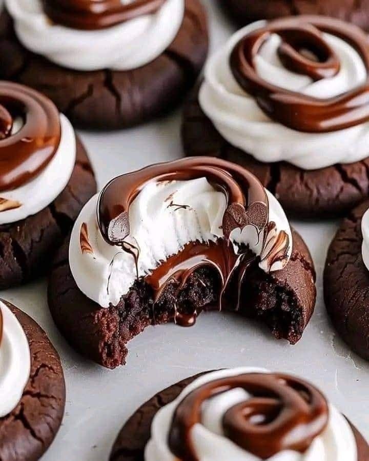 Easy Double Chocolate Marshmallow Cookies Ready in 30 Minutes