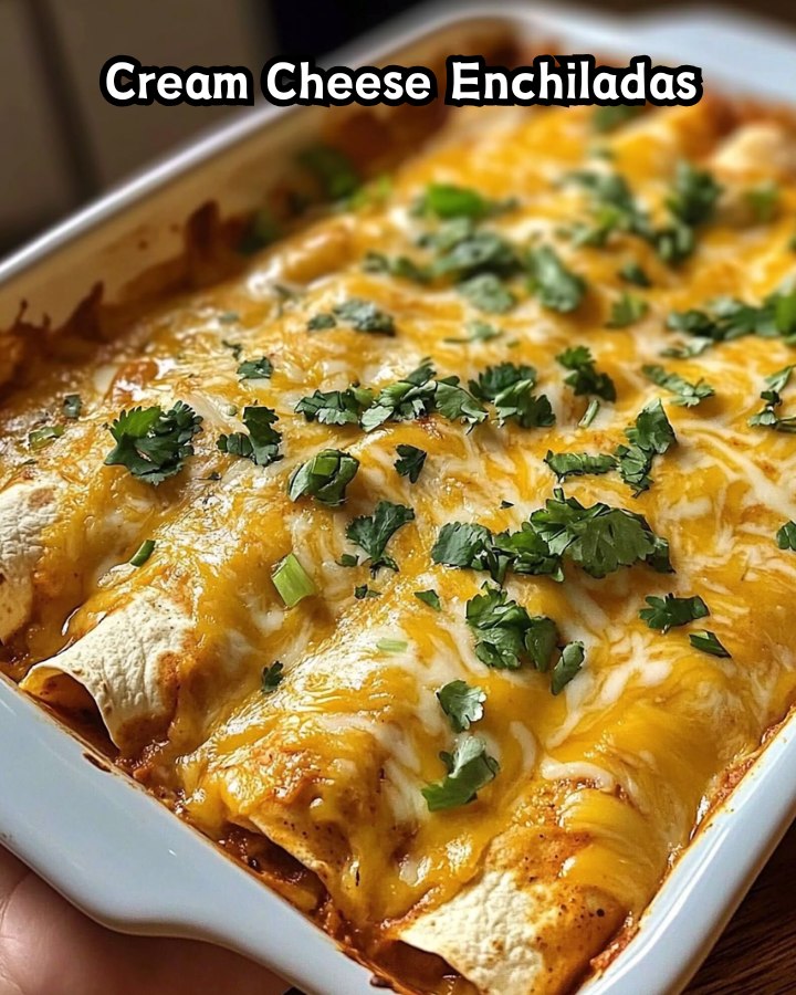 Easy Cream Cheese Enchiladas Ready in 30 Minutes