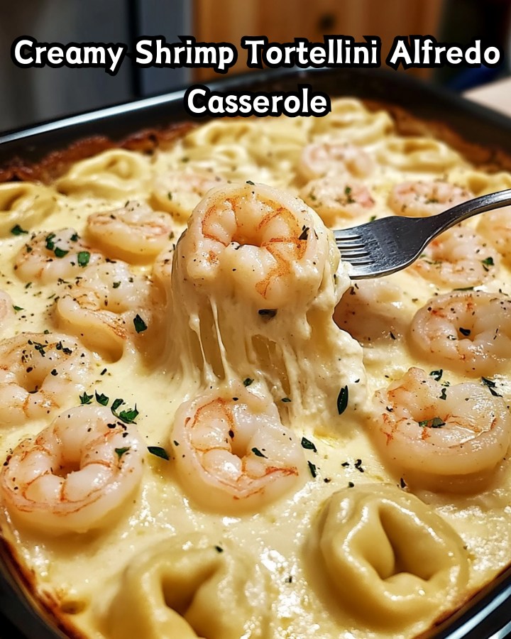 Easy Creamy Shrimp Tortellini Alfredo Casserole Ready in 30 Minutes