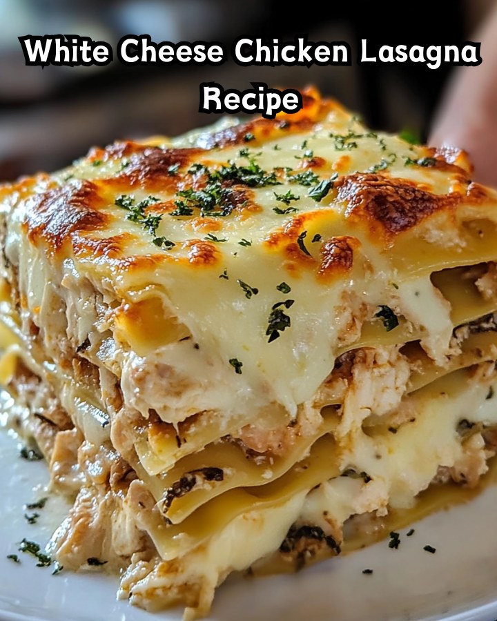 Best White Cheese Chicken Lasagna Recipe Ready in 30 Minutes